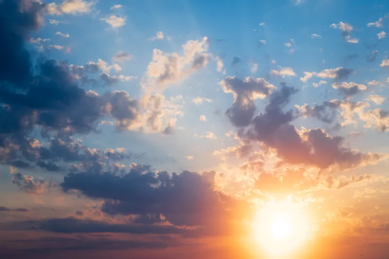 Sunbright, Door. 2020.